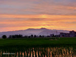 夕阳西下