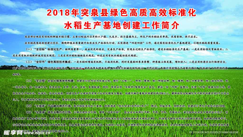 水稻