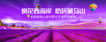 青岛藏马山国际赏花节暨开园仪式