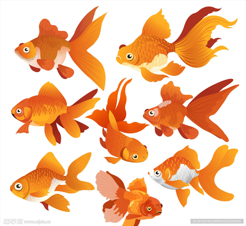 橙色金鱼设计矢量素材