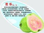 芭乐弹弹卡