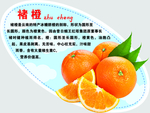 褚橙弹弹卡