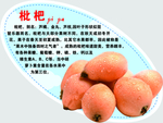 枇杷弹弹卡