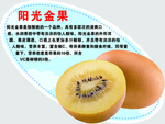 阳光金果弹弹卡
