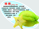 杨桃弹弹卡