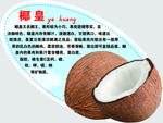 椰皇弹弹卡