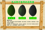 牛油果提示