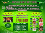 优惠海报