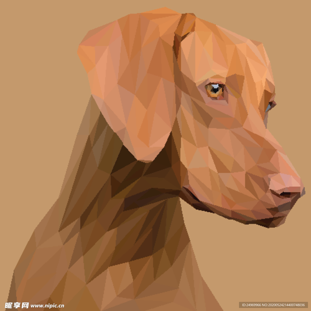 动物插画