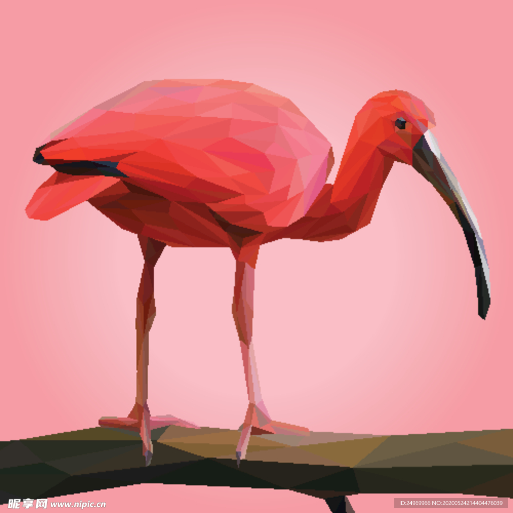动物插画