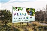 葡萄园海报