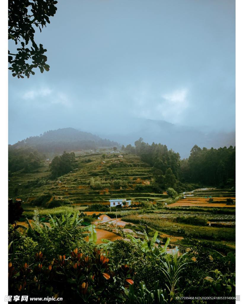朦胧风景