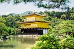 池塘
