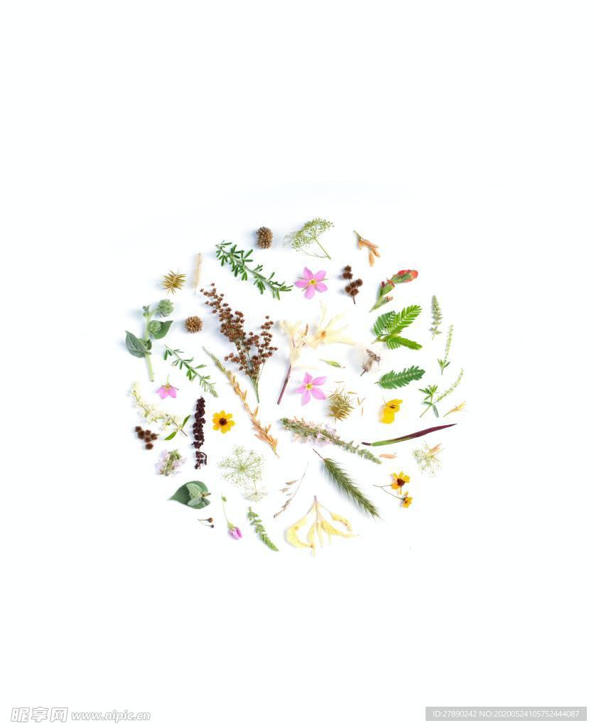 花草