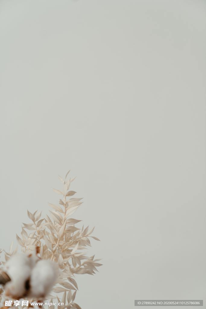 花草