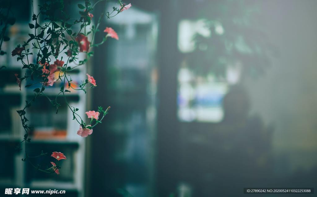 花草