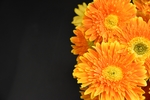 花草