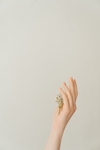 花草