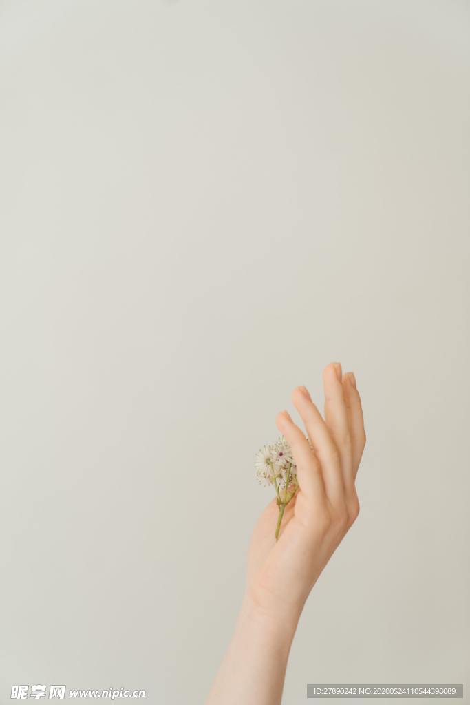 花草