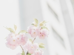 花草