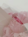 花草