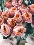 花草