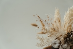 花草