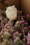 花草