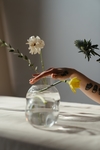 花草