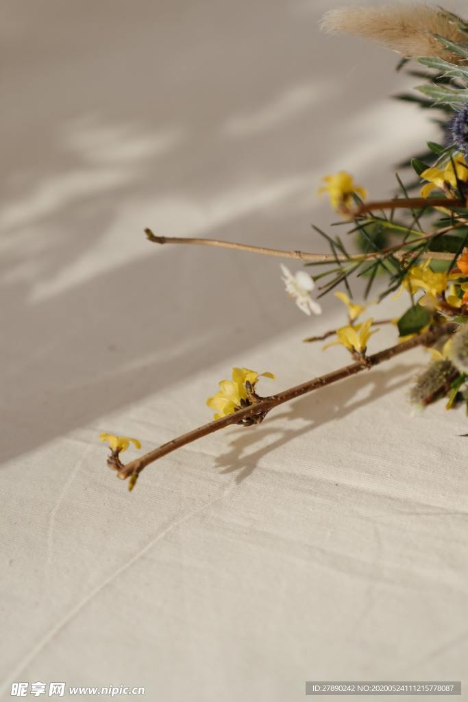 花草
