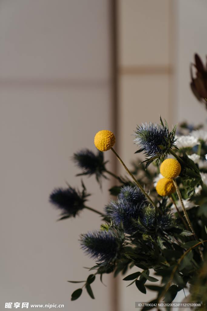 花草