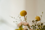 花草
