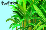 蕉树林