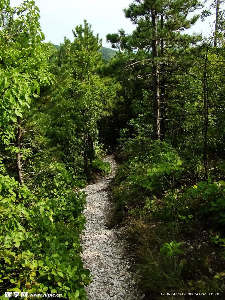 乡村土路