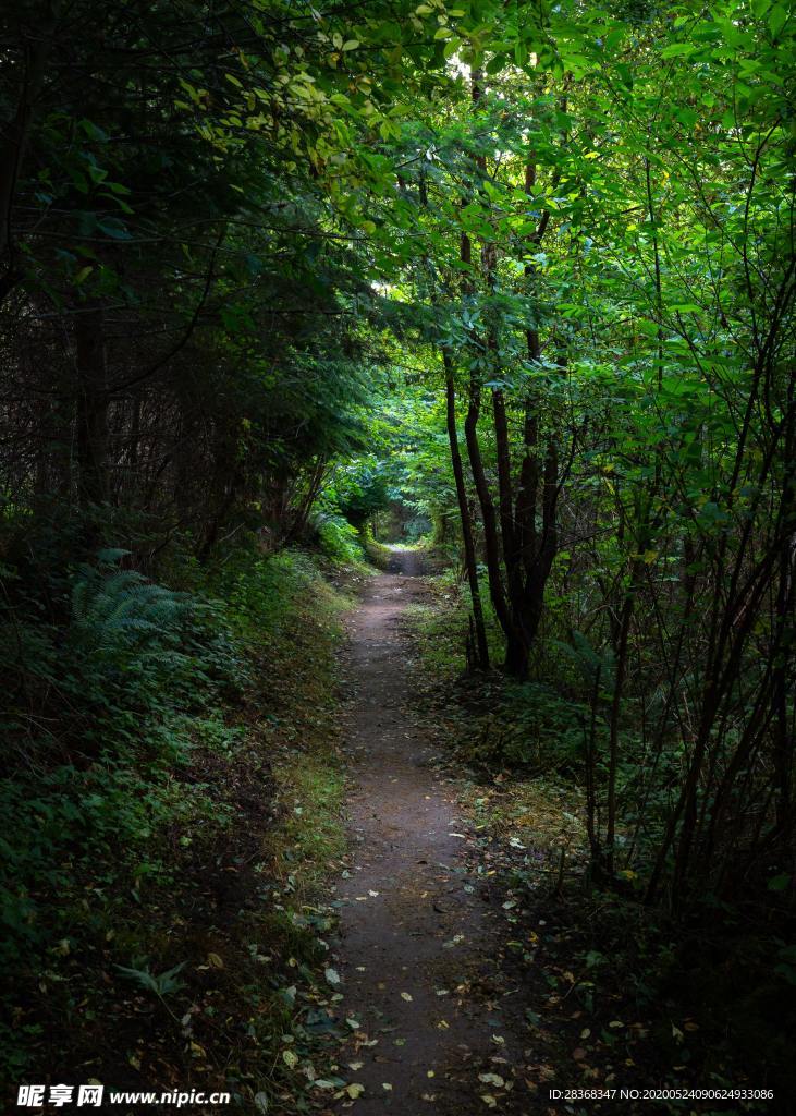 乡村土路