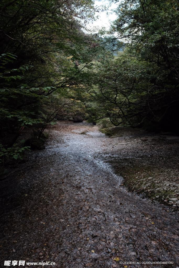 乡村土路