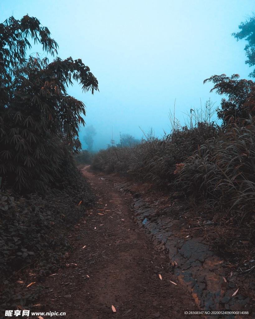 乡村土路
