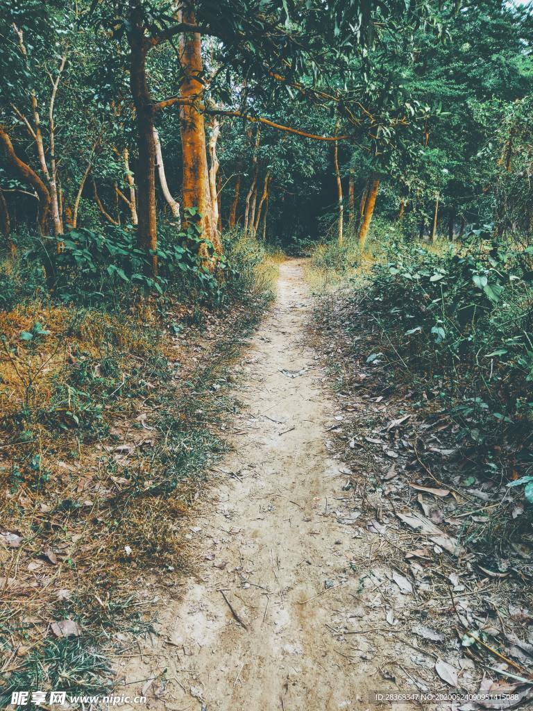 乡村土路