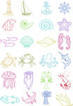 海洋生物