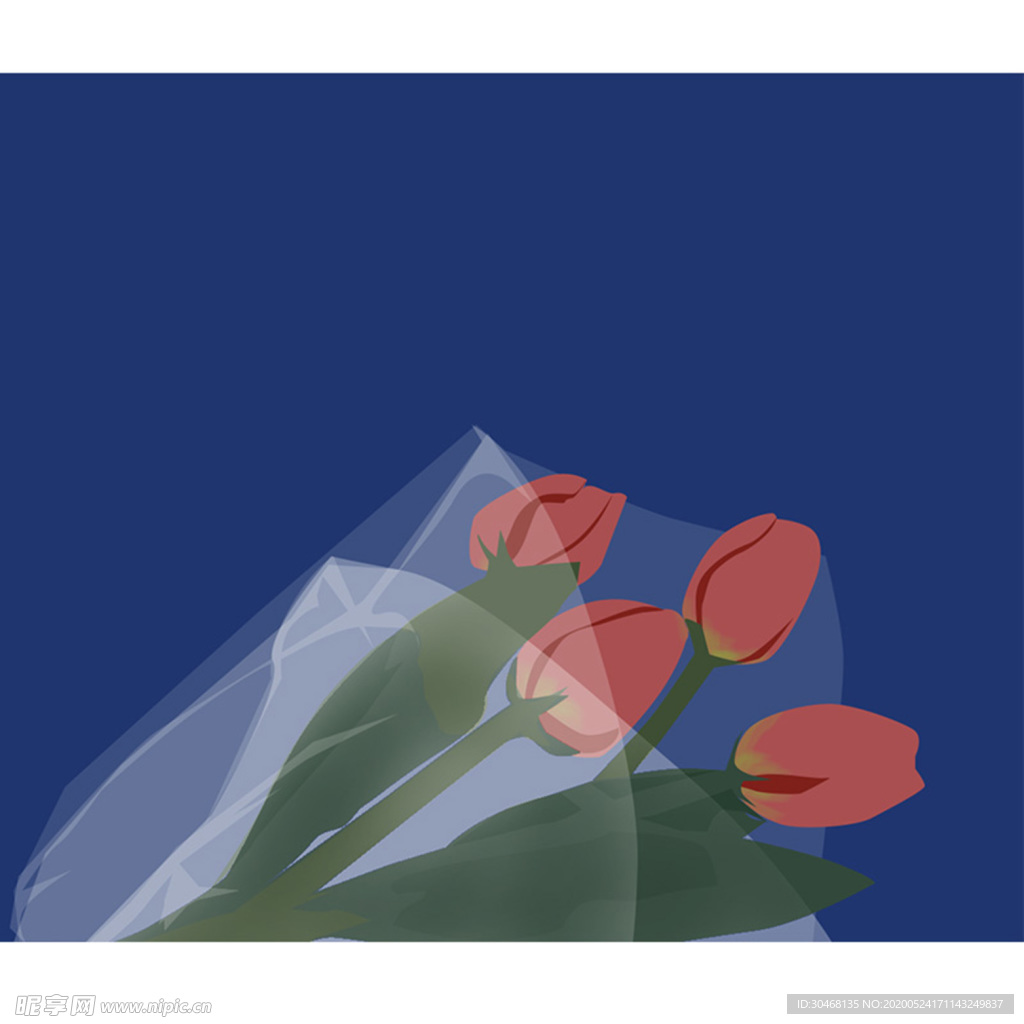 花卉插画