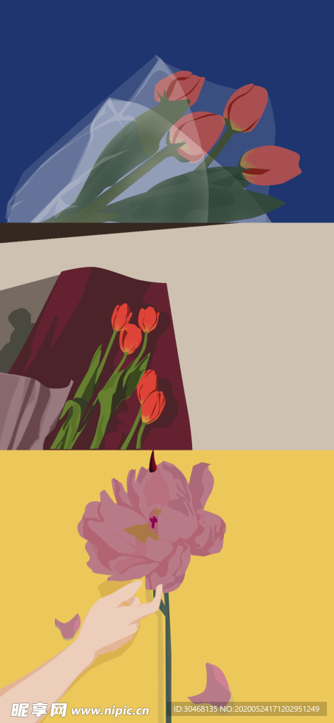 花卉插画