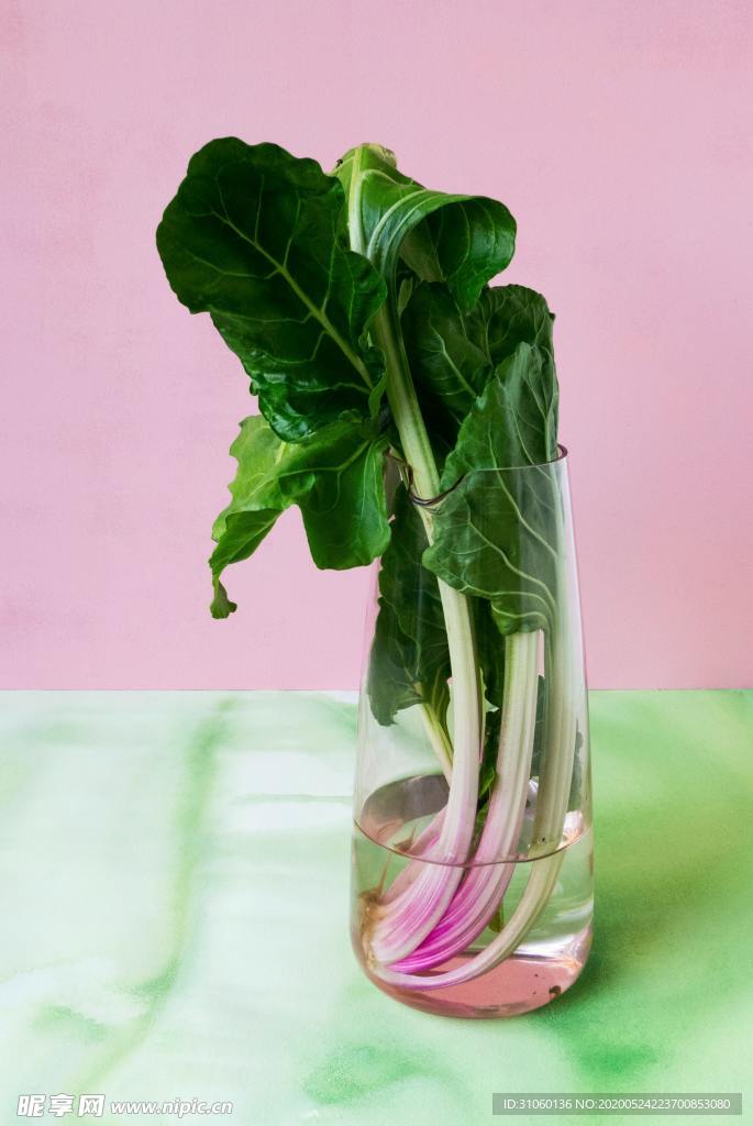 甜菜