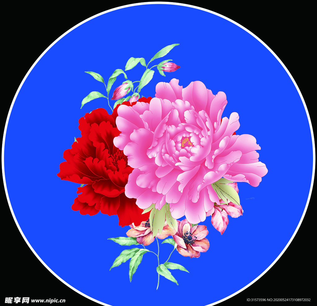 牡丹花