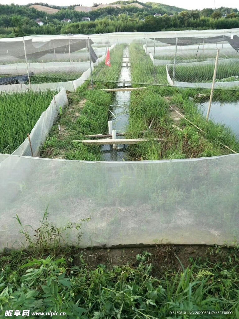 田园养殖场