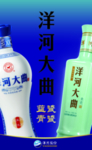 洋河大曲