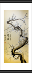 白衣天使