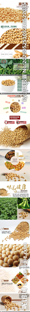 黄豆