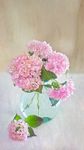 鲜花