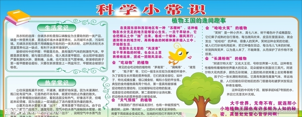学校宣传栏