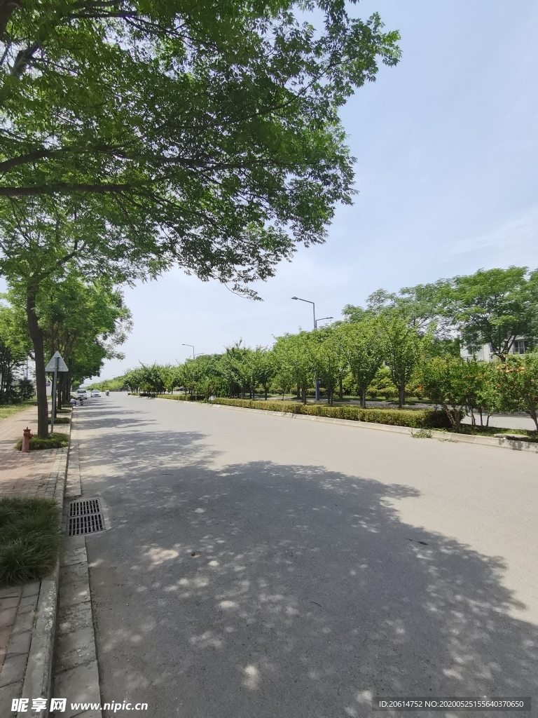 空荡荡的乡村道路